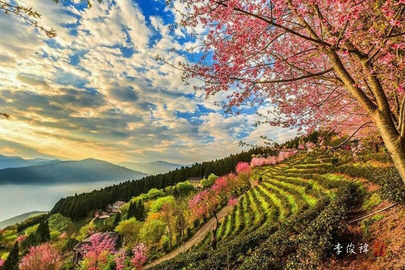 Ha Giang Hotel Sapa ภายนอก รูปภาพ