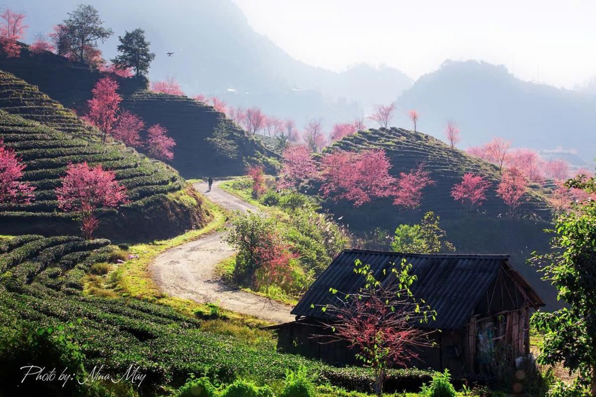 Ha Giang Hotel Sapa ภายนอก รูปภาพ